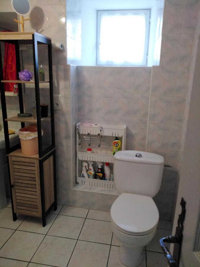 Chaleureux A La Campagne Apartment Saint-Germain-Laprade Bagian luar foto